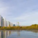 Белые росы