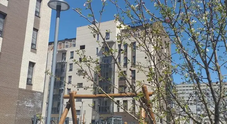 ЖК Новоостровский Качели 